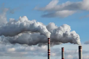 environmental toxins
