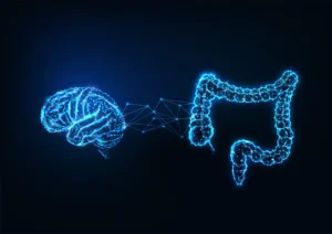 gut-brain connection