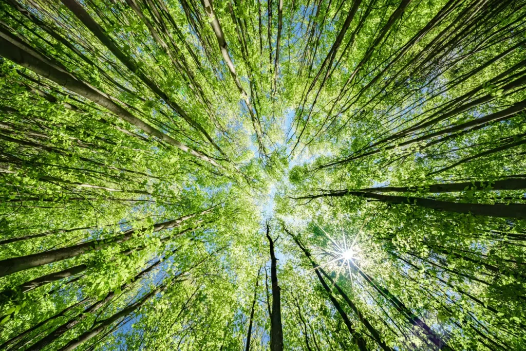 healthier environments