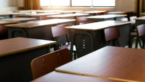school advocacy